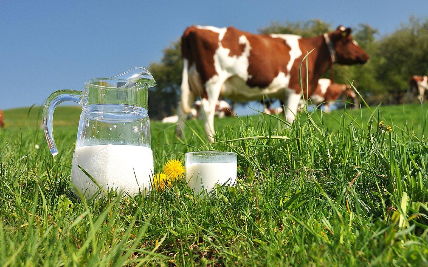 Miljø og bærekraft Bakgrunnsbilde for Miljø og bærekraft